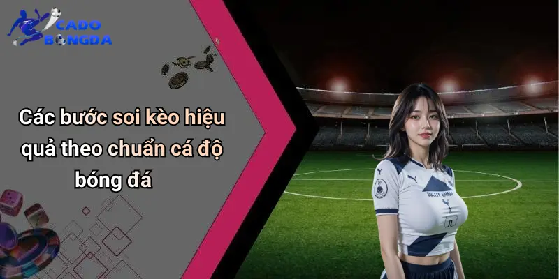 Cẩm Nang Soi Kèo