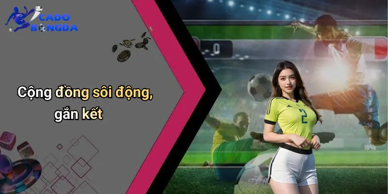 Giới thiệu