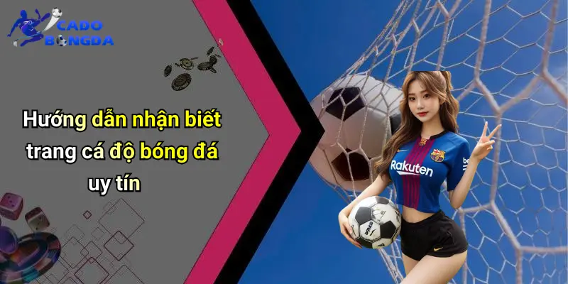 Cá Độ Bóng Đá