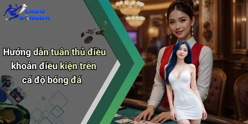 Điều Khoản Điều Kiện
