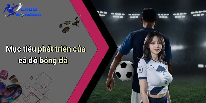 Cá Độ Bóng Đá