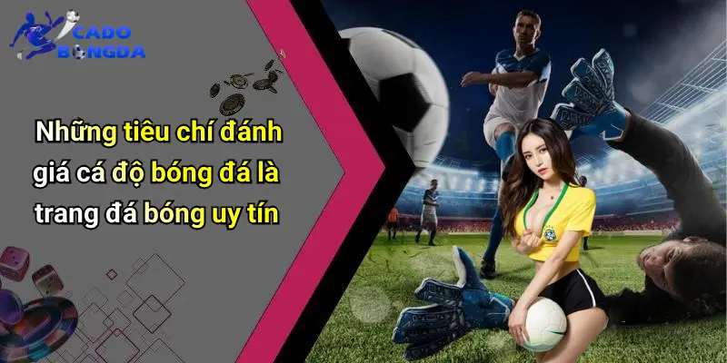 Cá Độ Bóng Đá