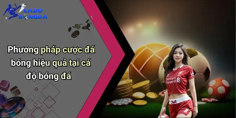 Cá Độ Bóng Đá