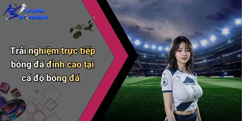 Trực Tiếp Bóng Đá