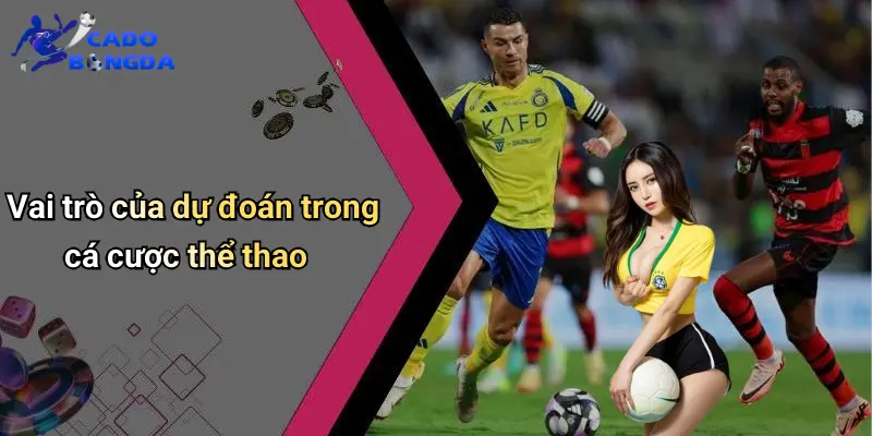 Dự Đoán