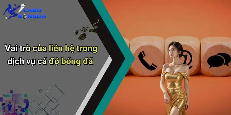 Liên Hệ