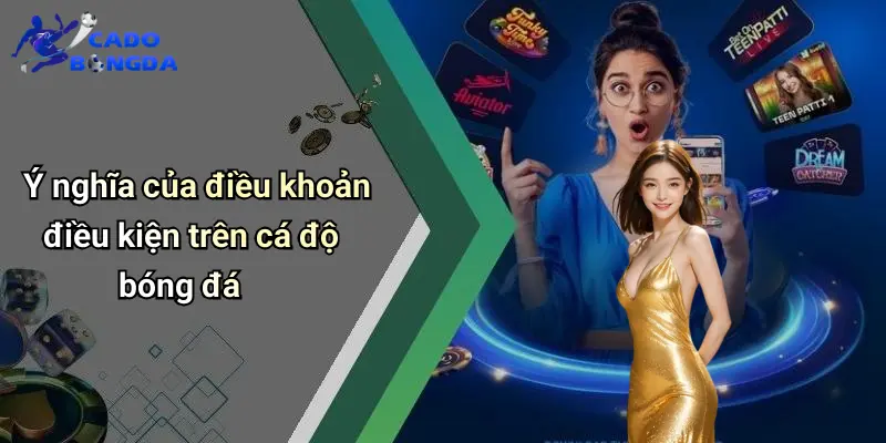 Điều Khoản Điều Kiện