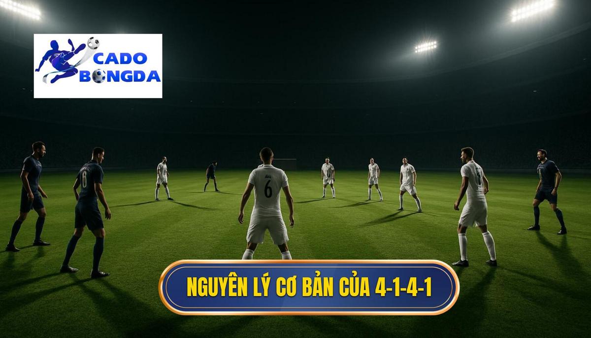 Định nghĩa và Nguyên lý cơ bản của 4-1-4-1