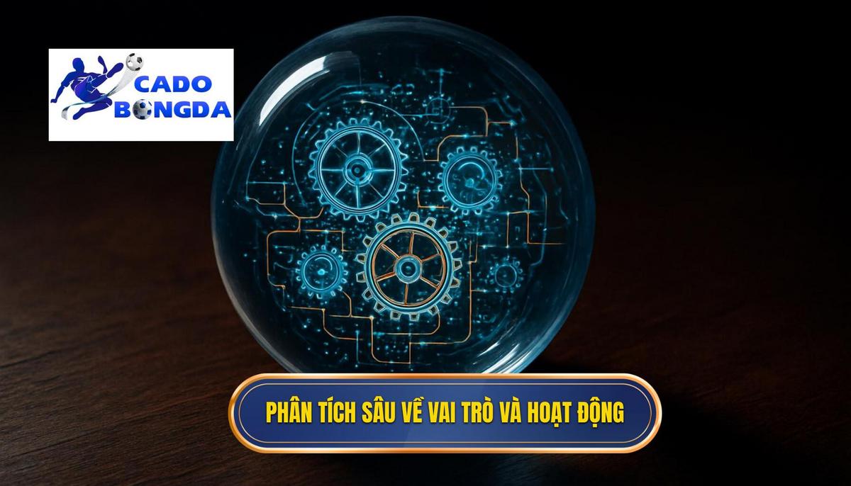 Chiến thuật bóng đá 3-3-3-1: Phân tích Chuyên sâu và Đột phá của Triết lý Tấn công Toàn diện 2 Phân tích Chuyên sâu về Vai trò và Vận hành