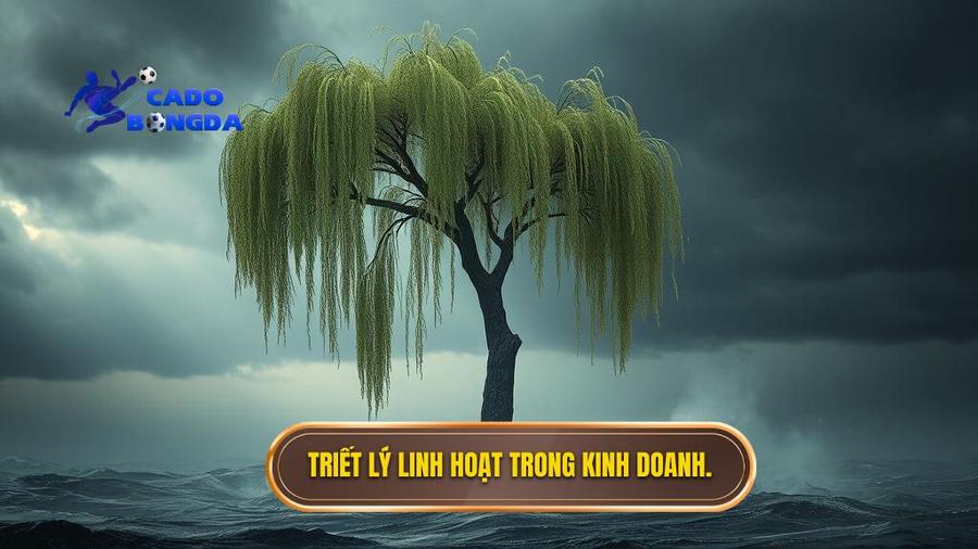Chiến thuật Carlo Ancelotti: Nghệ thuật của sự linh hoạt và tư duy quản trị đỉnh cao 1 1. Triết lý linh hoạt trong kinh doanh.