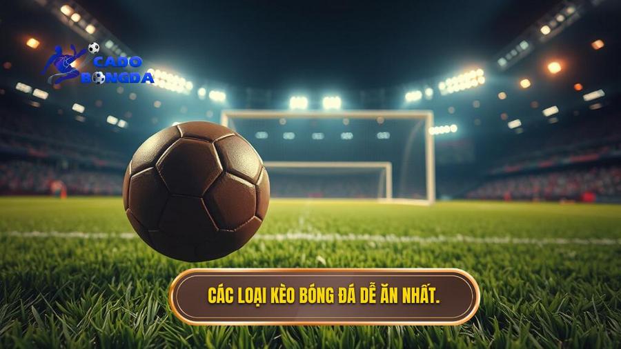 Kèo bóng đá nào dễ ăn nhất hiện nay? Bí quyết từ chuyên gia CÁ ĐỘ BÓNG ĐÁ 2 Top những loại kèo bóng đá dễ ăn nhất hiện nay