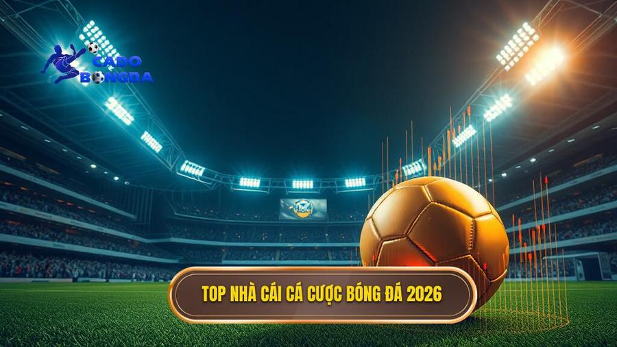 Top nhà cái cá cược bóng đá uy tín 2026: Bản đồ dẫn đường cho dân cược chuyên nghiệp 2 Phân tích top nhà cái cá cược bóng đá uy tín 2026 nổi bật nhất