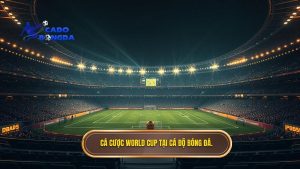 cá cược bóng đá World Cup