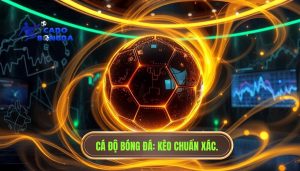 Kèo đang xoay theo nhịp trận: Bí kíp đọc vị nhà cái tại CÁ ĐỘ BÓNG ĐÁ