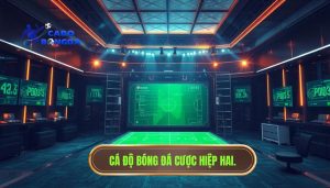 Cá độ bóng đá cược hiệp hai.